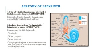 Endolymph Labyrinth clinical profile , diagnosis and management of otosclerosis | PPTX