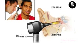 Mindfulness 101 | Meditation
 