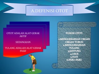 A.DEFENISI OTOT
OTOT ADALAH ALAT GERAK
AKTIF
SEDANGKAN
TULANG ADALAH ALAT GERAK
PASIF
 