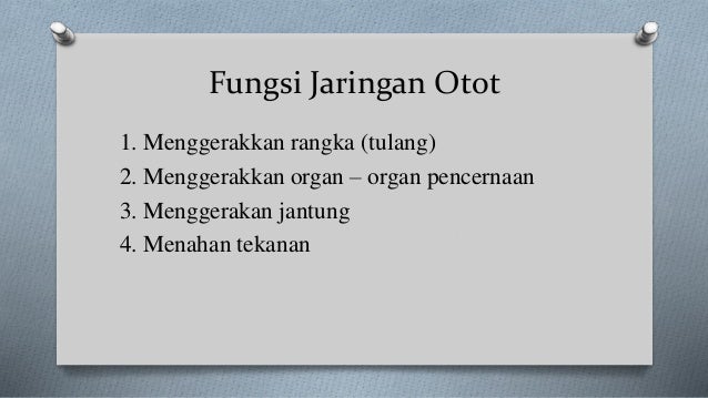 Jaringan Otot Jaringan Otot