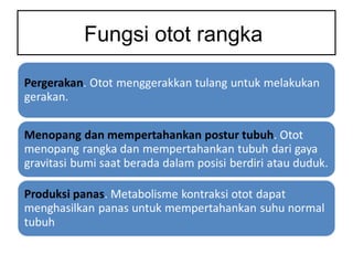 Fungsi otot rangka
 