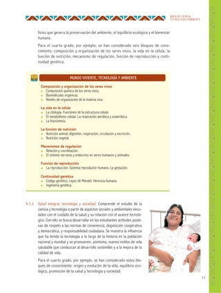 11
ÁREA DE CIENCIA,
TECNOLOGÍA Y AMBIENTE
ficios que genera la preservación del ambiente, el equilibrio ecológico y el bienestar
humano.
Para el cuarto grado, por ejemplo, se han considerado seis bloques de cono-
cimiento: composición y organización de los seres vivos, la vida en la célula, la
función de nutrición, mecanismo de regulación, función de reproducción y conti-
nuidad genética.
4.3.3 Salud integral, tecnología y sociedad. Comprende el estudio de la
ciencia y tecnología a partir de aspectos sociales y ambientales vincu-
lados con el cuidado de la salud y su relación con el avance tecnoló-
gico. Con ello se busca desarrollar en los estudiantes actitudes positi-
vas de respeto a las normas de convivencia, disposición cooperativa
y democrática, y responsabilidad ciudadana. Se muestra la influencia
que ha tenido la tecnología a lo largo de la historia en la población
nacional y mundial y se promueven, asimismo, nuevos estilos de vida
saludable que conduzcan al desarrollo sostenible y a la mejora de la
calidad de vida.
Para el cuarto grado, por ejemplo, se han considerado estos blo-
ques de conocimiento: origen y evolución de la vida, equilibrio eco-
lógico, promoción de la salud y tecnología y sociedad.
MUNDO VIVIENTE, TECNOLOGÍA Y AMBIENTE
Composición y organización de los seres vivos
● Composición química de los seres vivos.
● Biomoléculas orgánicas.
● Niveles de organización de la materia viva.
La vida en la célula
● La citología. Funciones de la estructura celular.
● El metabolismo celular. La respiración aeróbica y anaeróbica.
● La fotosíntesis.
La función de nutrición
● Nutrición animal: digestión, respiración, circulación y excreción.
● Nutrición vegetal.
Mecanismos de regulación
● Relación y coordinación.
● El sistema nervioso y endocrino en seres humanos y animales.
Función de reproducción
● La reproducción. Sistema reproductor humano. La gestación.
Continuidad genética
● Código genético. Leyes de Mendel. Herencia humana.
● Ingeniería genética.
 