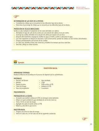 65
ÁREA DE CIENCIA,
TECNOLOGÍA Y AMBIENTE
DIGESTIÓN BUCAL
APRENDIZAJE ESPERADO
Analiza la influencia de la amilasa en el proceso de digestión de los carbohidratos.
MATERIALES
● Mechero de Bunsen
● Almidón
● Banda de goma
● Tubos de ensayo
● Vaso de precipitación
PROCEDIMIENTOS
PREPARACIÓN DE LA ENZIMA
● Se puede usar también amilasa al 0,5% (se consigue comercialmente).
● Diluye con igual cantidad de agua destilada (te servirá de reserva).
● Toma 2 ml en un tubo de ensayo.
● Agrégale dos gotas de ácido acético al 5%.
● Observa y describe lo que ocurre.
DIGESTIÓN BUCAL
● Prepara una serie de tubos de ensayo.
● Vierte en cada uno 2 ml de cada una de las siguientes sustancias:
DETERMINACIÓN DE LAS FASES DE LA MITOSIS
● Contabiliza las células que se encuentran en las diferentes fases de la mitosis.
● Determina el porcentaje de células que se encuentra en las diferentes fases de la mitosis.
PRODUCCIÓN DE CÉLULAS BINUCLEADAS
Se lleva a cabo mediante el tratamiento de las raíces del bulbo con cafeína:
● Reemplaza el agua de caño de los vasitos por una solución de cafeína al uno por ciento.
● Sumerge las raicillas del bulbo en la solución de cafeína por espacio de una hora.
● Después del tratamiento, enjuaga las raicillas en agua corriente y vuelve a colocarlas en agua.
● Con este tratamiento se bloquea la citocinesis. Como consecuencia, quedan las células con dos núcleos (binucleadas).
● Prepara periódicamente coloraciones de las raicillas.
● En cada caso, identifica la fase más numerosa y establece los tiempos que dura cada fase.
● Describe y dibuja tus observaciones.
● Agua destilada
● Lugol
● Ácido acético al 5%
● Amilasa al 0,5%
● Cronómetro
Ejemplo
 