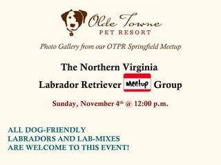 Photo Gallery from our OTPR Springfield Meetup

            The Northern Virginia
      Labrador Retriever                   Group
          Sunday, November 4th @ 12:00 p.m.


ALL DOG-FRIENDLY
LABRADORS AND LAB-MIXES
ARE WELCOME TO THIS EVENT!
 