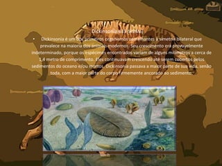 Dickinsonia(635-542Ma)
• Dickinsonia é um dos primeiros organismos semelhantes à simetria bilateral que
prevalece na maioria dos animais modernos. Seu crescimento era provavelmente
indeterminado, porque os espécimes encontrados variam de alguns milímetros a cerca de
1,4 metro de comprimento. Eles continuavam crescendo até serem cobertos pelos
sedimentos do oceano e/ou mortos. Dickinsonia passava a maior parte de sua vida, senão
toda, com a maior parte do corpo firmemente ancorado ao sedimento.
 