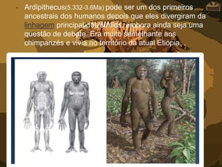 • Ardipithecus(5.332-3.6Ma) pode ser um dos primeiros
ancestrais dos humanos depois que eles divergiram da
linhagem principal dos símios, embora ainda seja uma
questão de debate. Era muito semelhante aos
chimpanzés e vivia no território da atual Etiópia. ,
 
