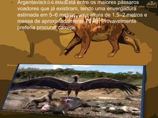 • Argentavis(9.0-6.8Ma)Está entre os maiores pássaros
voadores que já existiram, tendo uma envergadura
estimada em 5–6 metros, uma altura de 1,5–2 metros e
massa de aproximadamente 70 kg. Provavelmente
preferia procurar carniça.
 