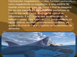 • Carcharodon megalodon(23.0-2.6Ma) Também conhecido
como megalodonte ou megalodon, é uma espécie de
tubarão extinta que viveu até quase o final do Neogeno.
Foi um dos maiores e mais poderosos predadores da
história dos vertebrados, atingindo 18 metros de
comprimento. É sabido que eles se alimentavam de
baleias e peixes. Eles foram extintos provavelmente por
vários motivos, incluindo o resfriamento oceânico, as
quedas do nível do mar e o declínio no fornecimento de
alimentos.
 