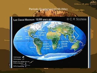 Período Quarternário(2.58-0Ma):
 