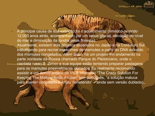 • A principal causa de sua extinção foi o aquecimento climático ocorrido
12.000 anos atrás, acompanhado por um recuo glacial, elevação do nível
do mar e diminuição da tundra pelas florestas.
Atualmente, existem dois projetos separados no Japão e na Coréia do Sul
trabalhando para recriar espécimes de mamutes a partir do DNA extraído
dos mamutes congelados. Além disso, há um projeto em andamento na
parte nordeste da Rússia chamado Parque do Pleistoceno, onde o
cientista russo S. Zimov e sua equipe estão tentando preparar pastagens
para os mamutes possivelmente clonados. Eu realmente recomendo
assistir a um documentário da VICE chamado “The Crazy Solution For
Keeping The Melting Arctic Frozen” (em português, “a solução maluca
para manter congelado o Ártico derretendo” – ainda sem versão dublada).,
 