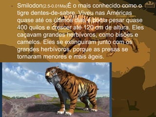 • Smilodon(2.5-0.01Ma)É o mais conhecido como o
tigre dentes-de-sabre. Viveu nas Américas
quase até os últimos dias e podia pesar quase
400 quilos e crescer até 120 cm de altura. Eles
caçavam grandes herbívoros, como bisões e
camelos. Eles se extinguiram junto com os
grandes herbívoros, porque as presas se
tornaram menores e mais ágeis.
 