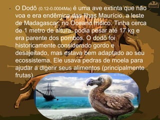 • O Dodô (0.12-0.0004Ma) é uma ave extinta que não
voa e era endêmica das Ilhas Maurício, a leste
de Madagascar, no Oceano Índico. Tinha cerca
de 1 metro de altura, podia pesar até 17 kg e
era parente dos pombos. O dodô foi
historicamente considerado gordo e
desajeitado, mas estava bem adaptado ao seu
ecossistema. Ele usava pedras de moela para
ajudar a digerir seus alimentos (principalmente
frutas).
 