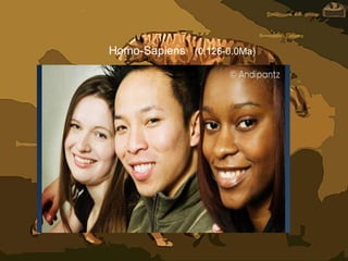 Homo-Sapiens (0.126-0.0Ma)
 