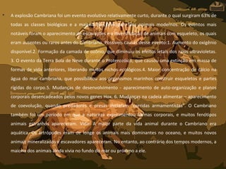 • A explosão Cambriana foi um evento evolutivo relativamente curto, durante o qual surgiram 63% de
todas as classes biológicas e a maioria dos principais filos animais modernos. Os eventos mais
notáveis foram o aparecimento de escavações e a diversificação de animais com esqueleto, os quais
eram ausentes ou raros antes do Cambriano. Possíveis causas desse evento:1. Aumento do oxigênio
disponível.2. Formação da camada de ozônio, que diminuiu os efeitos letais dos raios ultravioletas.
3. O evento da Terra Bola de Neve durante o Proterozóico, que causou uma extinção em massa de
formas de vida anteriores, liberando muitos nichos ecológicos.4. Maior concentração de cálcio na
água do mar cambriana, que possibilitou aos organismos marinhos construir esqueletos e partes
rígidas do corpo.5. Mudanças de desenvolvimento - aparecimento de auto-organização e planos
corporais desencadeados pelos novos genes Hox. 6. Mudanças na cadeia alimentar – aparecimento
de coevolução, quando predadores e presas iniciaram "corridas armamentistas". O Cambriano
também foi um período em que a natureza experimentou formas corporais, e muitos fenótipos
animais estranhos apareceram. Vida: A maior parte da vida animal durante o Cambriano era
aquática. Os artrópodes eram de longe os animais mais dominantes no oceano, e muitos novos
animais mineralizados e escavadores apareceram. No entanto, ao contrário dos tempos modernos, a
maioria dos animais ainda vivia no fundo do mar ou próximo a ele.
 