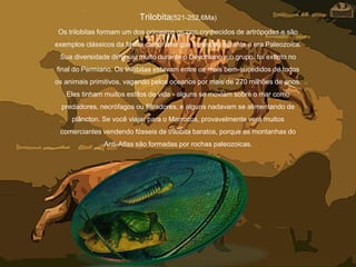 Trilobita(521-252,6Ma)
Os trilobitas formam um dos primeiros grupos conhecidos de artrópodes e são
exemplos clássicos da fauna cambriana que floresceu durante a era Paleozoica.
Sua diversidade diminuiu muito durante o Devoniano e o grupo. foi extinto no
final do Permiano. Os trilobitas estavam entre os mais bem-sucedidos de todos
os animais primitivos, vagando pelos oceanos por mais de 270 milhões de anos.
Eles tinham muitos estilos de vida - alguns se moviam sobre o mar como
predadores, necrófagos ou filtradores, e alguns nadavam se alimentando de
plâncton. Se você viajar para o Marrocos, provavelmente verá muitos
comerciantes vendendo fósseis de trilobita baratos, porque as montanhas do
Anti-Atlas são formadas por rochas paleozoicas.
 