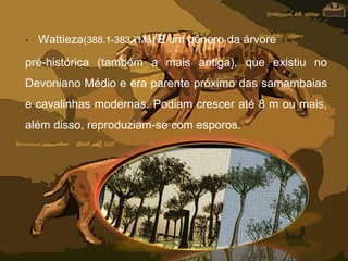 • Wattieza(388.1-383.7Ma) É um gênero da árvore
pré-histórica (também a mais antiga), que existiu no
Devoniano Médio e era parente próximo das samambaias
e cavalinhas modernas. Podiam crescer até 8 m ou mais,
além disso, reproduziam-se com esporos.
 
