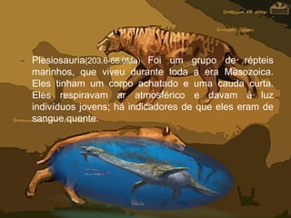 • Plesiosauria(203.6-66.0Ma) Foi um grupo de répteis
marinhos, que viveu durante toda a era Mesozoica.
Eles tinham um corpo achatado e uma cauda curta.
Eles respiravam ar atmosférico e davam à luz
indivíduos jovens; há indicadores de que eles eram de
sangue quente.
 