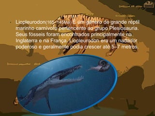 • Liopleurodon(165−145Ma) É um gênero de grande réptil
marinho carnívoro pertencente ao grupo Plesiosauria.
Seus fósseis foram encontrados principalmente na
Inglaterra e na França. Liopleurodon era um nadador
poderoso e geralmente podia crescer até 5–7 metros.
 