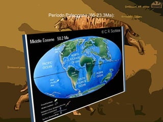 Período Paleogeno (66-23.3Ma):
 
