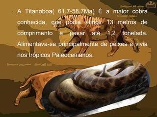 • A Titanoboa( 61.7-58.7Ma) É a maior cobra
conhecida, que podia atingir 13 metros de
comprimento e pesar até 1,2 tonelada.
Alimentava-se principalmente de peixes e vivia
nos trópicos Paleocenianos.
 