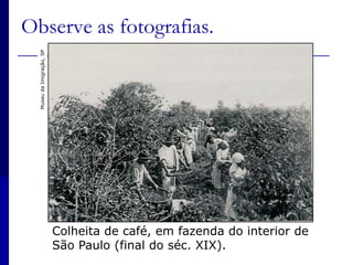 Observe as fotografias.Museu da Imigração, SPColheita de café, em fazenda do interior de São Paulo (final do séc. XIX).