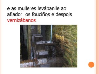 e as mulleres levábanlle ao
afiador os fouciños e despois
vernizábanos.
 