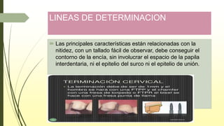 LINEAS DE DETERMINACION
 Las principales características están relacionadas con la
nitidez, con un tallado fácil de observar, debe conseguir el
contorno de la encía, sin involucrar el espacio de la papila
interdentaria, ni el epitelio del surco ni el epitelio de unión.
 