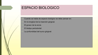 ESPACIO BIOLOGICO
 Cuando se habla de espacio biológico se debe pensar en:
 En la longitud de la inserción gingival.
 El grosor de la encía
 El biotipo periodontal
 La profundidad del surco gingival.
 