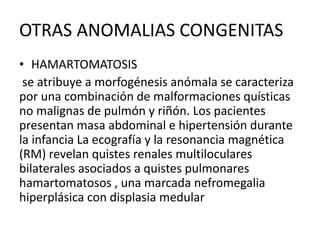 OTRAS ANOMALIAS CONGENITAS
• HAMARTOMATOSIS
se atribuye a morfogénesis anómala se caracteriza
por una combinación de malformaciones quísticas
no malignas de pulmón y riñón. Los pacientes
presentan masa abdominal e hipertensión durante
la infancia La ecografía y la resonancia magnética
(RM) revelan quistes renales multiloculares
bilaterales asociados a quistes pulmonares
hamartomatosos , una marcada nefromegalia
hiperplásica con displasia medular
 