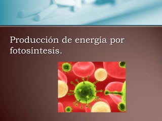 Producción de energía por
fotosíntesis.
 