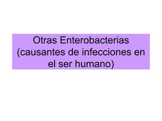 Otras Enterobacterias
(causantes de infecciones en
      el ser humano)
 