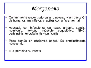 Morganella
• Comúnmente encontrado en el ambiente y en tracto GI
  de humanos, mamíferos y reptiles como flora normal.

• Asociado con infecciones del tracto urinario, sepsis,
  neumonía, heridas, músculo esquelético, SNC,
  pericarditis, endoftalmitis y peritonitis.

• Poco común en pacientes sanos. Es principalmente
  nosocomial

• ITU, parecido a Proteus
 