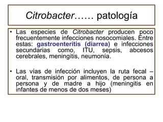 Citrobacter…… patología
• Las especies de Citrobacter producen poco
  frecuentemente infecciones nosocomiales. Entre
  estas: gastroenteritis (diarrea) e infecciones
  secundarias como, ITU, sepsis, abcesos
  cerebrales, meningitis, neumonía.

• Las vías de infección incluyen la ruta fecal –
  oral, transmisión por alimentos, de persona a
  persona y de madre a hijo (meningitis en
  infantes de menos de dos meses)
 