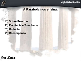 A Parábola nos ensina:
1º) Sobre Pessoas.
2º) Paciência e Tolerância.
3º) Colheita.
4º) Recompensa.
 