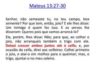 Mateus 13:27-30
Senhor, não semeaste tu, no teu campo, boa
semente? Por que tem, então, joio? E ele lhes disse:
Um inimigo é quem fez isso. E os servos lhe
disseram: Queres pois que vamos arrancá-lo?
Ele, porém, lhes disse: Não; para que, ao colher o
joio, não arranqueis também o trigo com ele.
Deixai crescer ambos juntos até à ceifa; e, por
ocasião da ceifa, direi aos ceifeiros: Colhei primeiro
o joio, e atai-o em molhos para o queimar; mas, o
trigo, ajuntai-o no meu celeiro.

 