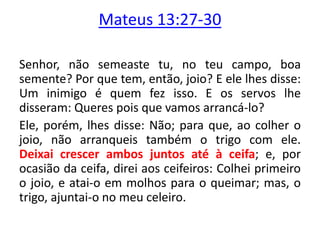 Mateus 13:27-30
Senhor, não semeaste tu, no teu campo, boa
semente? Por que tem, então, joio? E ele lhes disse:
Um inimigo é quem fez isso. E os servos lhe
disseram: Queres pois que vamos arrancá-lo?
Ele, porém, lhes disse: Não; para que, ao colher o
joio, não arranqueis também o trigo com ele.
Deixai crescer ambos juntos até à ceifa; e, por
ocasião da ceifa, direi aos ceifeiros: Colhei primeiro
o joio, e atai-o em molhos para o queimar; mas, o
trigo, ajuntai-o no meu celeiro.
 