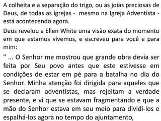 A colheita e a separação do trigo, ou as joias preciosas de
Deus, de todas as igrejas - mesmo na Igreja Adventista -
está acontecendo agora.
Deus revelou a Ellen White uma visão exata do momento
em que estamos vivemos, e escreveu para você e para
mim:
" ... O Senhor me mostrou que grande obra devia ser
feita por Seu povo antes que este estivesse em
condições de estar em pé para a batalha no dia do
Senhor. Minha atenção foi dirigida para aqueles que
se declaram adventistas, mas rejeitam a verdade
presente, e vi que se estavam fragmentando e que a
mão do Senhor estava em seu meio para dividi-los e
espalhá-los agora no tempo do ajuntamento,
 