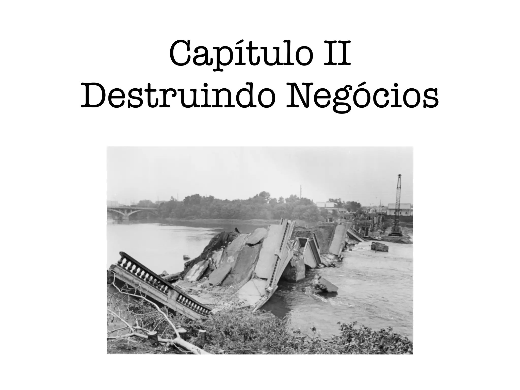 Capítulo II
Destruindo Negócios
 
