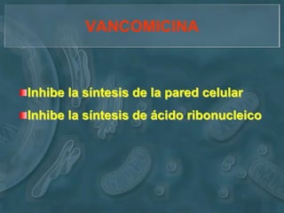 VANCOMICINA



Inhibe la síntesis de la pared celular
Inhibe la síntesis de ácido ribonucleico
 