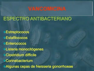 VANCOMICINA
ESPECTRO ANTIBACTERIANO

Estreptococos
Estafilococos
Enterococos
Listeria monocitógenes
Clostridium difficile
Corinebacterium
Algunas cepas de Neisseria gonorrhoeae
 