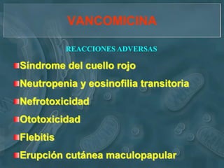VANCOMICINA

           REACCIONES ADVERSAS

Síndrome del cuello rojo
Neutropenia y eosinofilia transitoria
Nefrotoxicidad
Ototoxicidad
Flebitis
Erupción cutánea maculopapular
 
