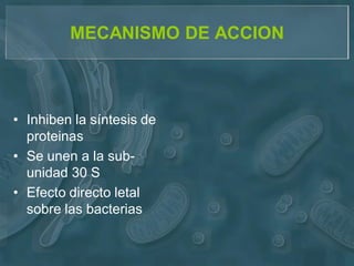 MECANISMO DE ACCION



• Inhiben la síntesis de
  proteinas
• Se unen a la sub-
  unidad 30 S
• Efecto directo letal
  sobre las bacterias
 