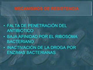 MECANISMOS DE RESISTENCIA



• FALTA DE PENETRACIÓN DEL
  ANTIBIÓTICO
• BAJA AFINIDAD POR EL RIBOSOMA
  BACTERIANO
• INACTIVACIÓN DE LA DROGA POR
  ENZÍMAS BACTERIANAS
 