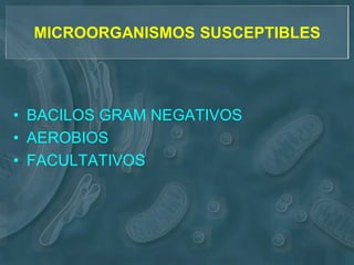 MICROORGANISMOS SUSCEPTIBLES




• BACILOS GRAM NEGATIVOS
• AEROBIOS
• FACULTATIVOS
 