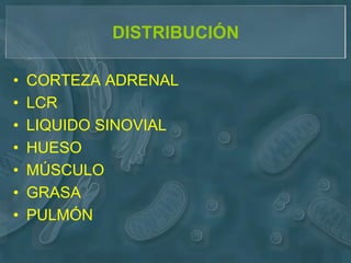 DISTRIBUCIÓN

•   CORTEZA ADRENAL
•   LCR
•   LIQUIDO SINOVIAL
•   HUESO
•   MÚSCULO
•   GRASA
•   PULMÓN
 