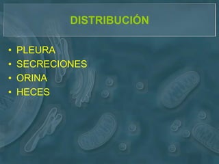 DISTRIBUCIÓN

•   PLEURA
•   SECRECIONES
•   ORINA
•   HECES
 