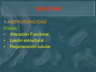 TOXICIDAD

1.-NEFROTOXICIDAD
Etapas:
• Alteración Funcional
• Lesión estructural
• Regeneración tubular
 