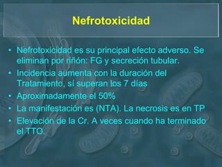 Nefrotoxicidad

• Nefrotoxicidad es su principal efecto adverso. Se
  eliminan por riñón: FG y secreción tubular.
• Incidencia aumenta con la duración del
  Tratamiento, sí superan los 7 días
• Aproximadamente el 50%
• La manifestación es (NTA). La necrosis es en TP
• Elevación de la Cr. A veces cuando ha terminado
  el TTO.
 
