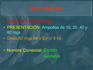 GENTAMICINA

• USOS TERAPEUTICOS:
• PRESENTACIÓN: Ampollas de 10, 20, 40 y
  80 mgs
• Dosis 80 mgs IM o EV c/ 8 hs

• Nombre Comercial: Enclitin
                    Gentalyn
 