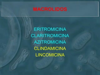 MACROLIDOS


 ERITROMICINA
CLARITROMICINA
 AZITROMICINA
 CLINDAMICINA
  LINCOMICINA
 